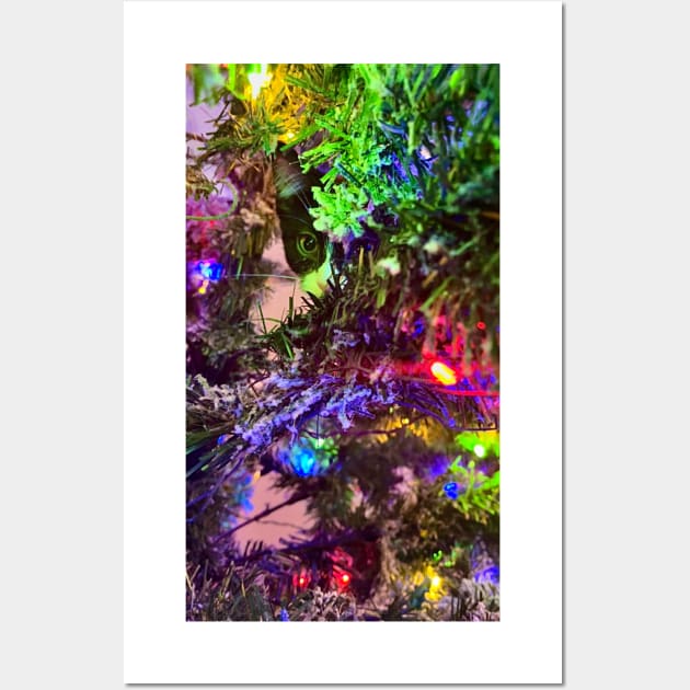 I spy in a tree a kitten Wall Art by aadventures